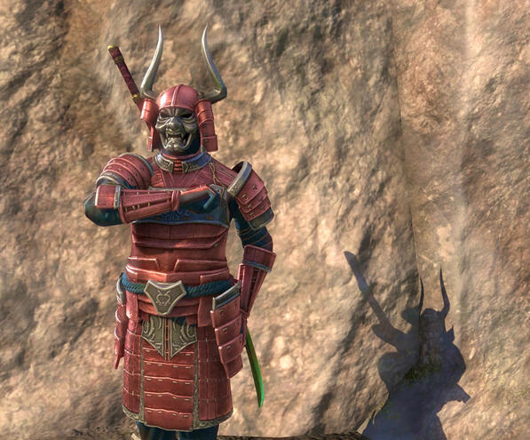 Honor Guard Armor